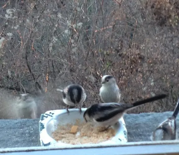 فندق مبيت وإفطار Mimma Ozzano Monferrato