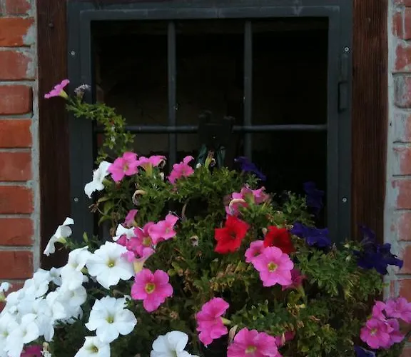 فندق مبيت وإفطار Mimma *